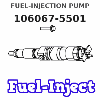 106067-5501 FUEL-INJECTION PUMP