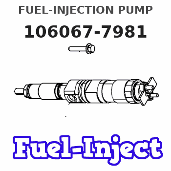 106067-7981 FUEL-INJECTION PUMP