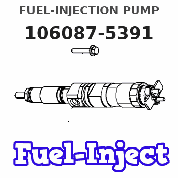106087-5391 FUEL-INJECTION PUMP