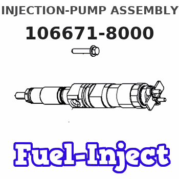 106671-8000 INJECTION-PUMP ASSEMBLY