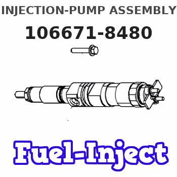 106671-8480 INJECTION-PUMP ASSEMBLY