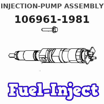 106961-1981 INJECTION-PUMP ASSEMBLY