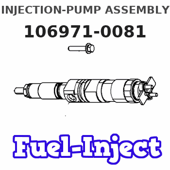 106971-0081 INJECTION-PUMP ASSEMBLY