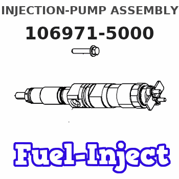 106971-5000 INJECTION-PUMP ASSEMBLY