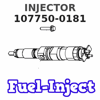 107750-0181 INJECTOR