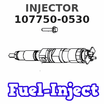 107750-0530 INJECTOR