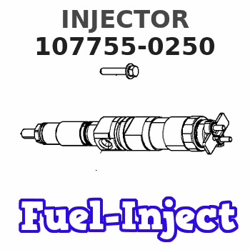 107755-0250 INJECTOR