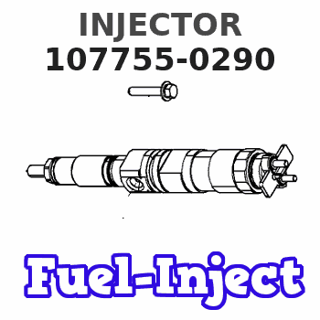 107755-0290 INJECTOR