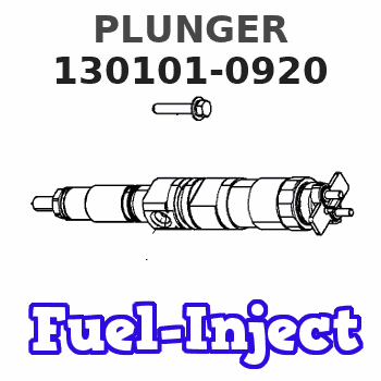130101-0920 PLUNGER