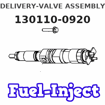 130110-0920 DELIVERY-VALVE ASSEMBLY