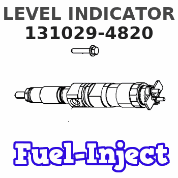 131029-4820 LEVEL INDICATOR