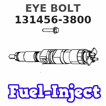 131456-3800 EYE BOLT