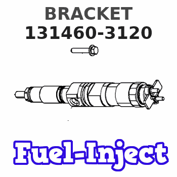 131460-3120 BRACKET