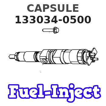 133034-0500 CAPSULE