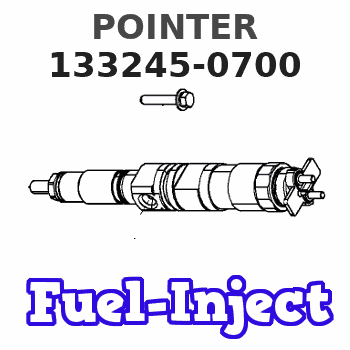 133245-0700 POINTER