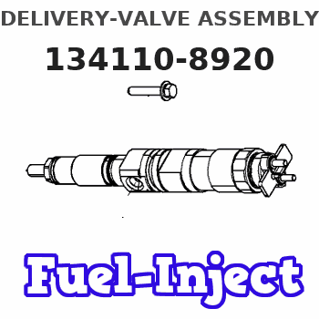 134110-8920 DELIVERY-VALVE ASSEMBLY