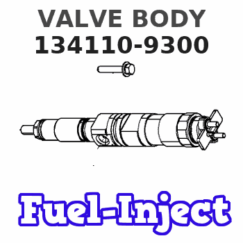 134110-9300 VALVE BODY