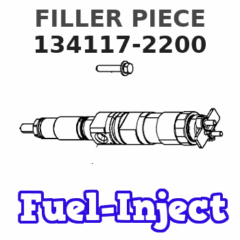 134117-2200 FILLER PIECE