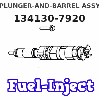 134130-7920 PLUNGER-AND-BARREL ASSY
