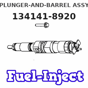 134141-8920 PLUNGER-AND-BARREL ASSY