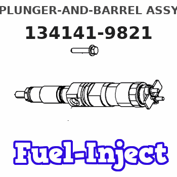 134141-9821 PLUNGER-AND-BARREL ASSY