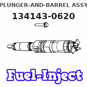 134143-0620 PLUNGER-AND-BARREL ASSY