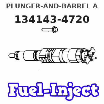 134143-4720 PLUNGER-AND-BARREL A