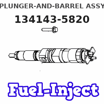 134143-5820 PLUNGER-AND-BARREL ASSY