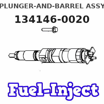 134146-0020 PLUNGER-AND-BARREL ASSY
