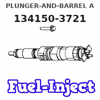134150-3721 PLUNGER-AND-BARREL A