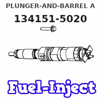 134151-5020 PLUNGER-AND-BARREL A