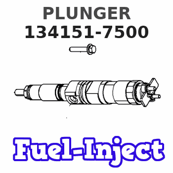 134151-7500 PLUNGER