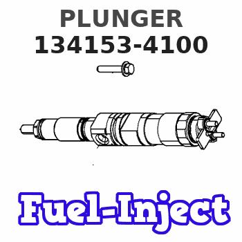 134153-4100 PLUNGER