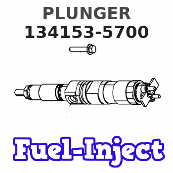 134153-5700 PLUNGER