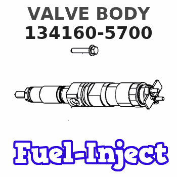 134160-5700 VALVE BODY
