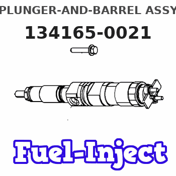 134165-0021 PLUNGER-AND-BARREL ASSY