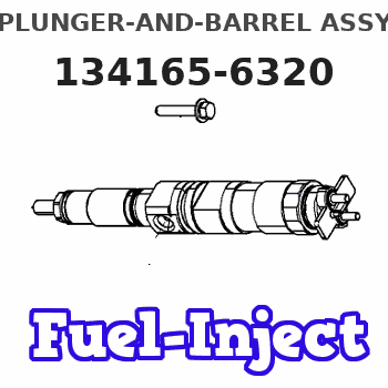 134165-6320 PLUNGER-AND-BARREL ASSY