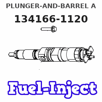 134166-1120 PLUNGER-AND-BARREL A