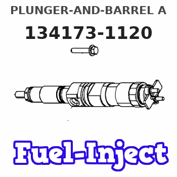 134173-1120 PLUNGER-AND-BARREL A