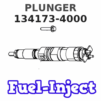 134173-4000 PLUNGER