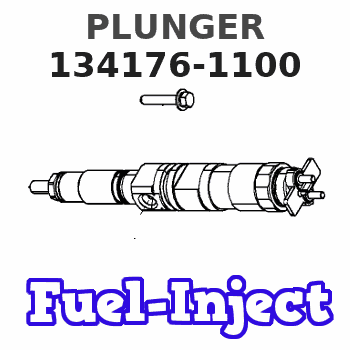 134176-1100 PLUNGER
