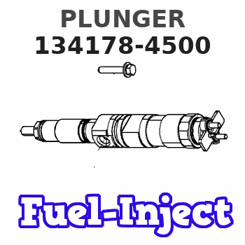 134178-4500 PLUNGER