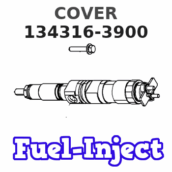 134316-3900 COVER