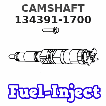 134391-1700 CAMSHAFT