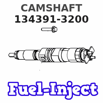 134391-3200 CAMSHAFT