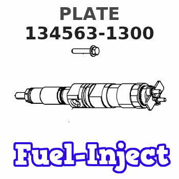 134563-1300 PLATE