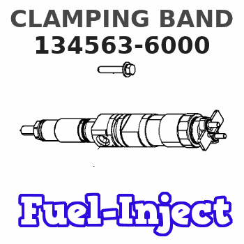 134563-6000 CLAMPING BAND