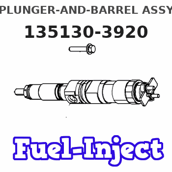 135130-3920 PLUNGER-AND-BARREL ASSY