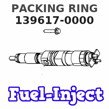 139617-0000 PACKING RING