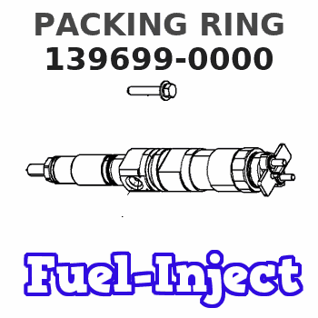 139699-0000 PACKING RING